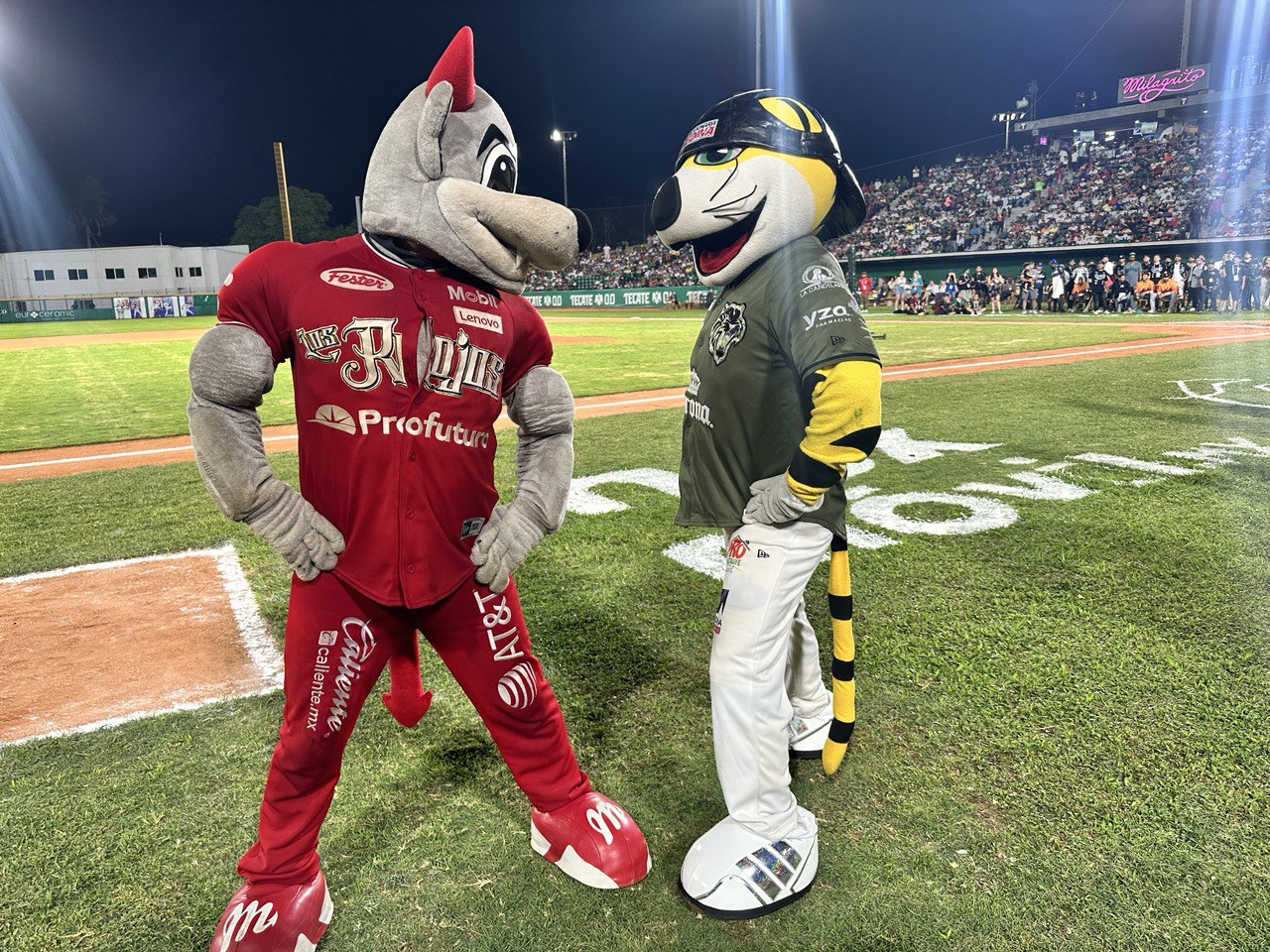 DIABLOS VS TIGRES EN EL PRIMER PLAYOFF