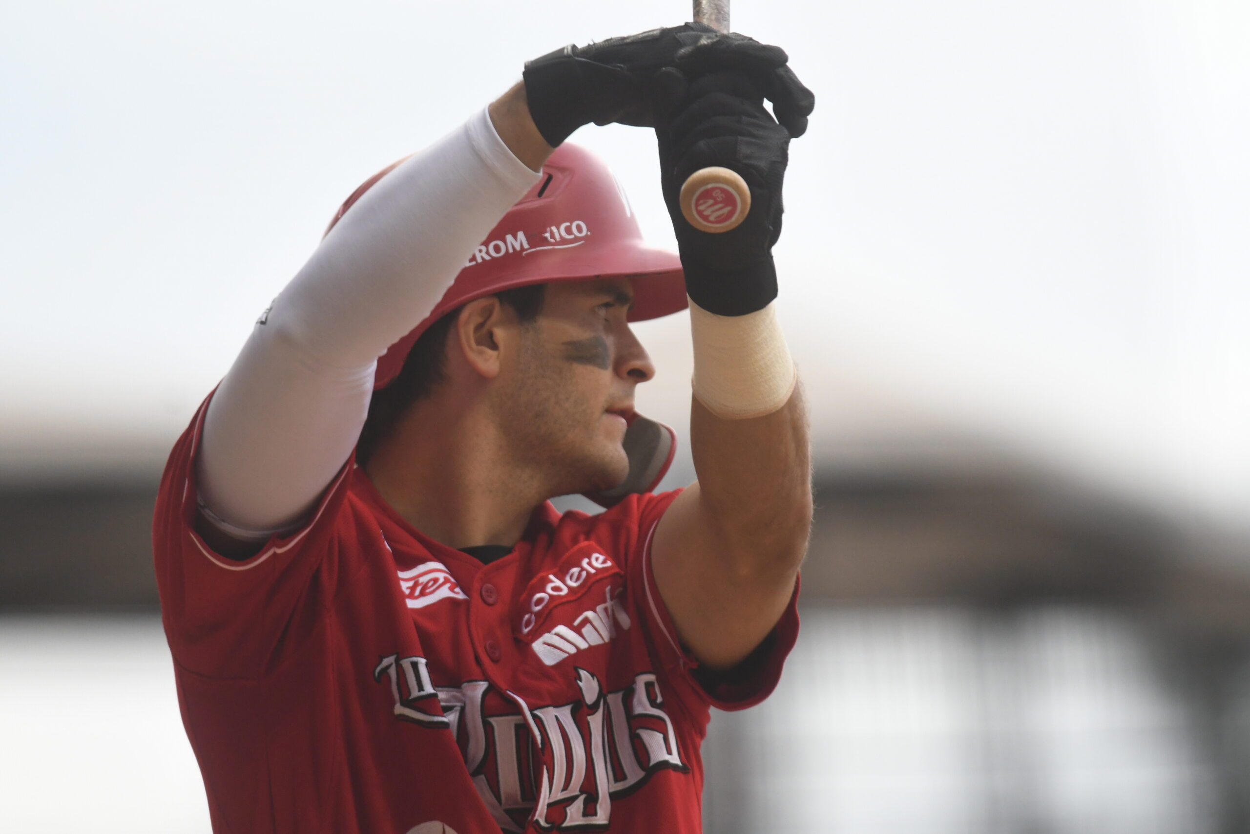 ESTADÍSTICAS DIABLOS ROJOS EN LA LIGA MEXICANA DEL PACÍFICO
