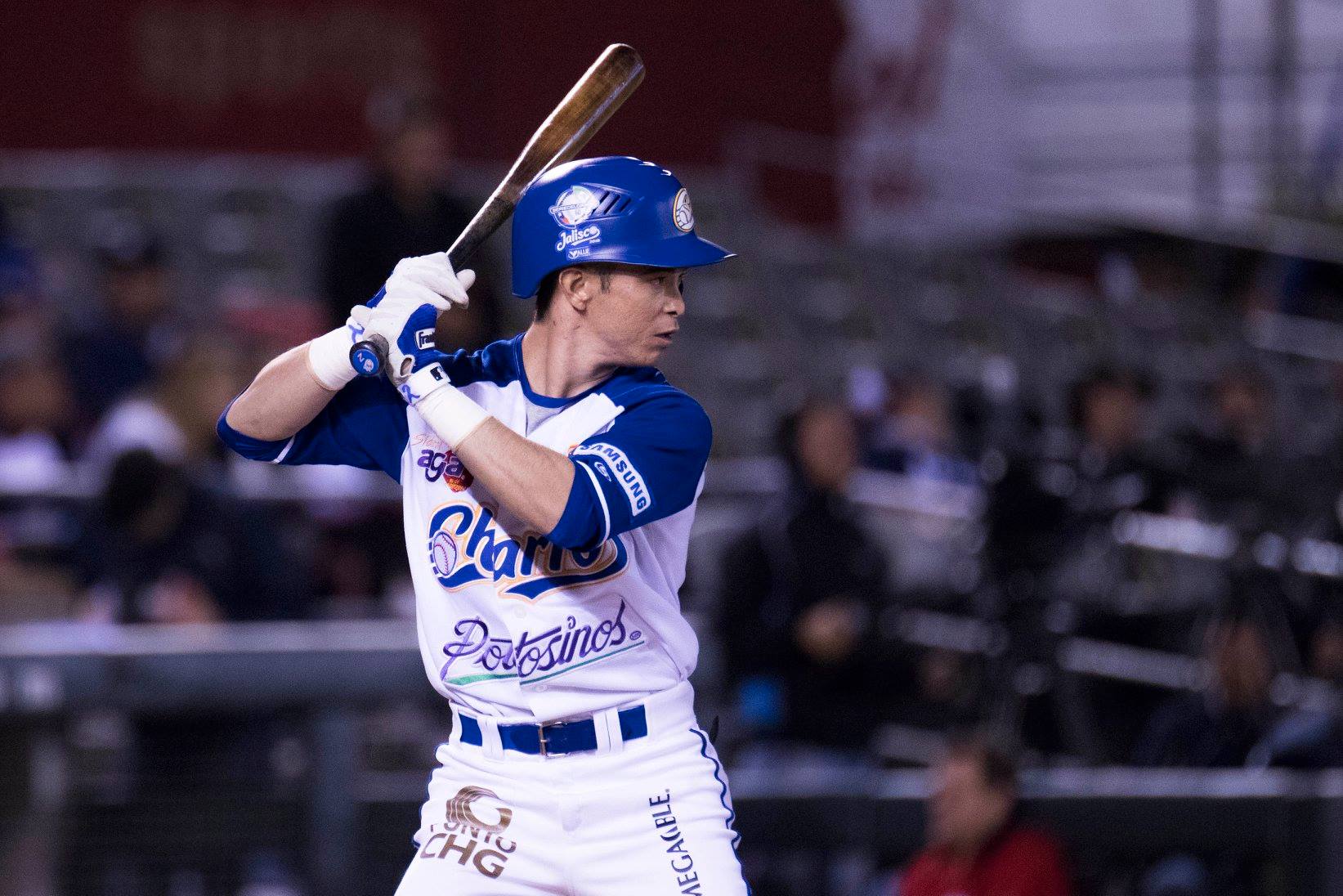 ACTIVIDAD ESCARLATA EN LA LMP