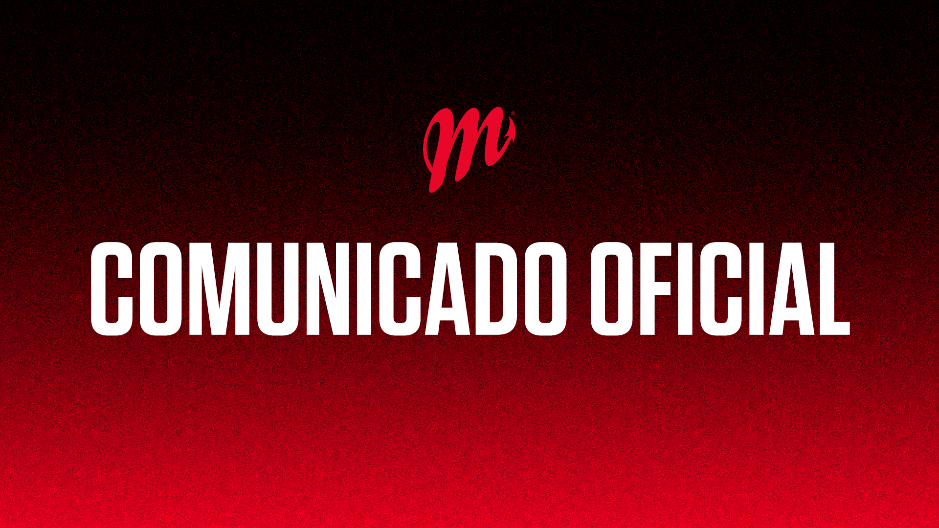 Boletín de Prensa